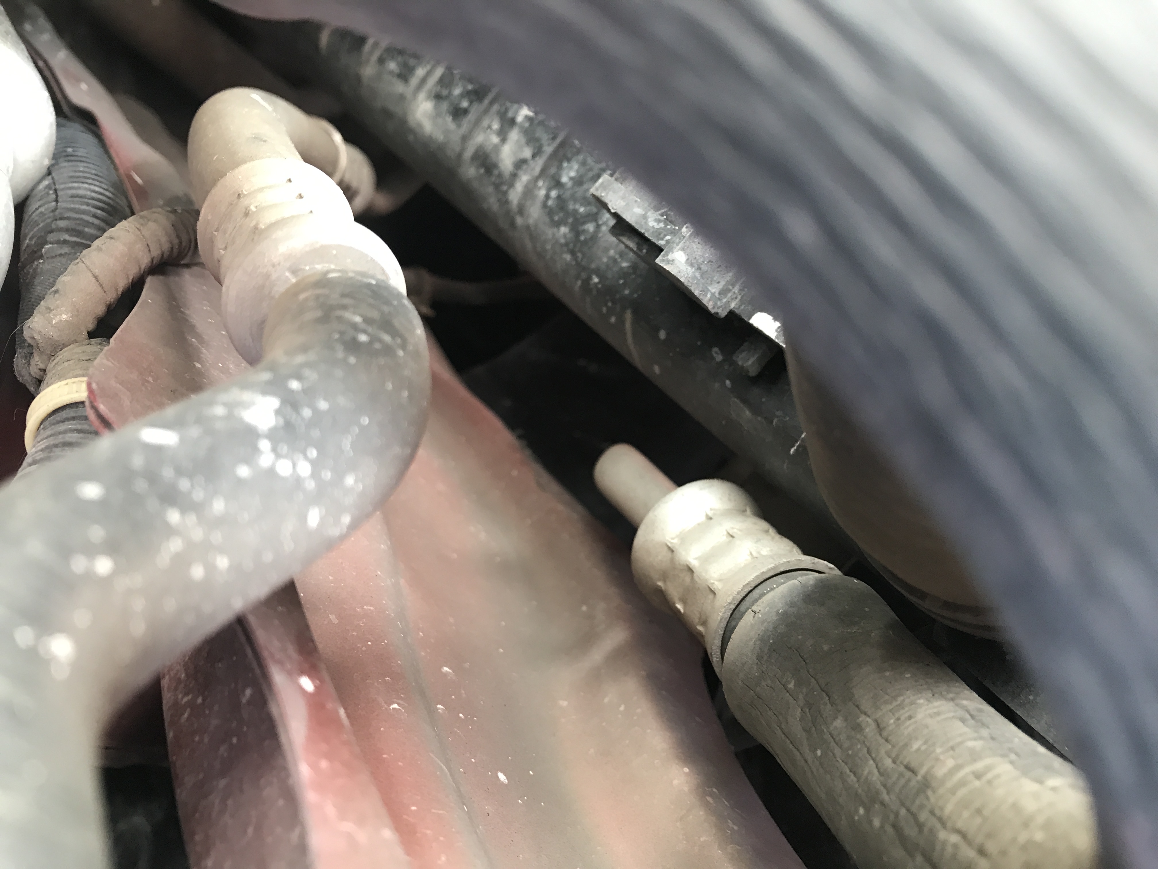 「淘车日记」两万元练手系列-小狮子的故事