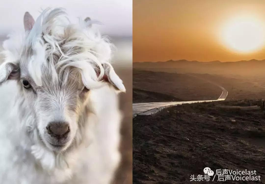 LOROPIANA（精华篇）顶奢羊绒成功之道，除了贵，可学的还有很多