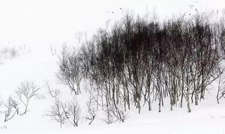 金秋十月，一群企业家办了件大事儿……