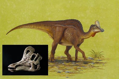 科学家发现的5种诡异生物,科学家发现奇怪的恐龙