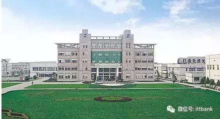 国产手机top5厂商销量,国内手机厂商上500强的有哪些