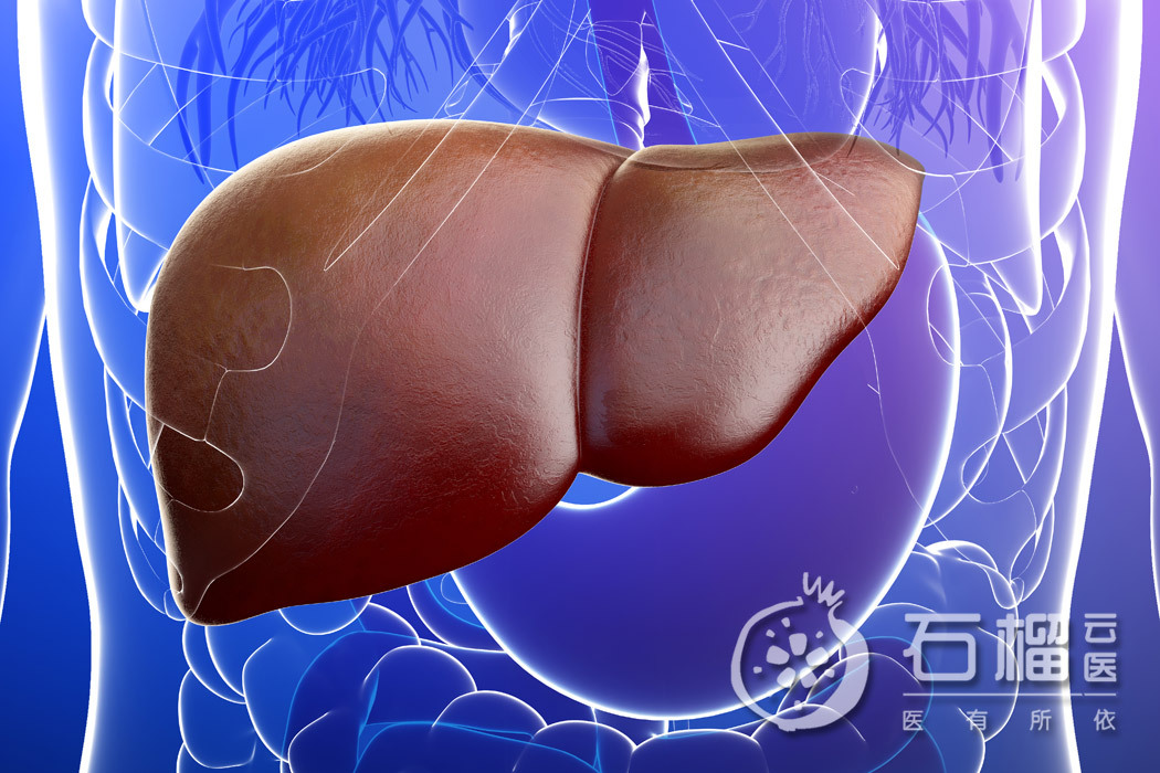 小三阳不需要治疗者会转阴么,小三阳真的不用管吗