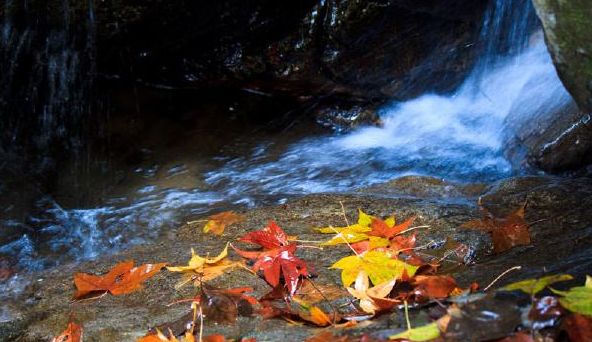 乘风破浪的励志诗词,乘风破浪的原创诗