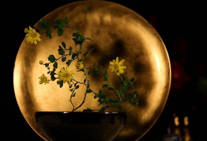 乘风破浪的励志诗词,乘风破浪的原创诗