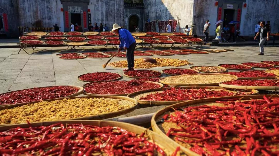 这片媲美京都的红叶之森只藏15栋梦幻树屋，杭州1.5h直达！