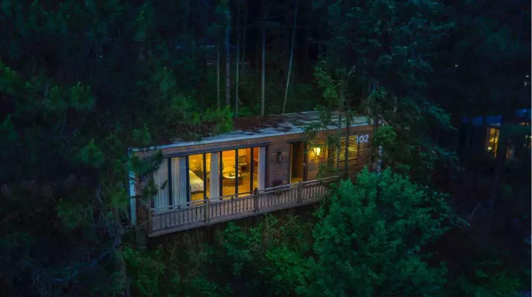 这片媲美京都的红叶之森只藏15栋梦幻树屋，杭州1.5h直达！