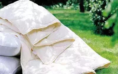 猫撒尿在被子上怎么去除异味,被子放在柜子里有异味怎么去除