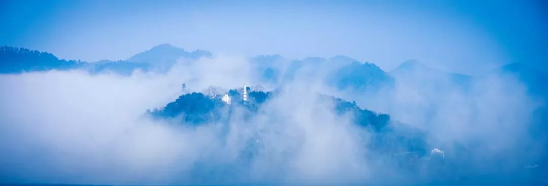 “望闻食嗅”皆养生……桐庐开启大杭州首条中医药健康养生之旅！