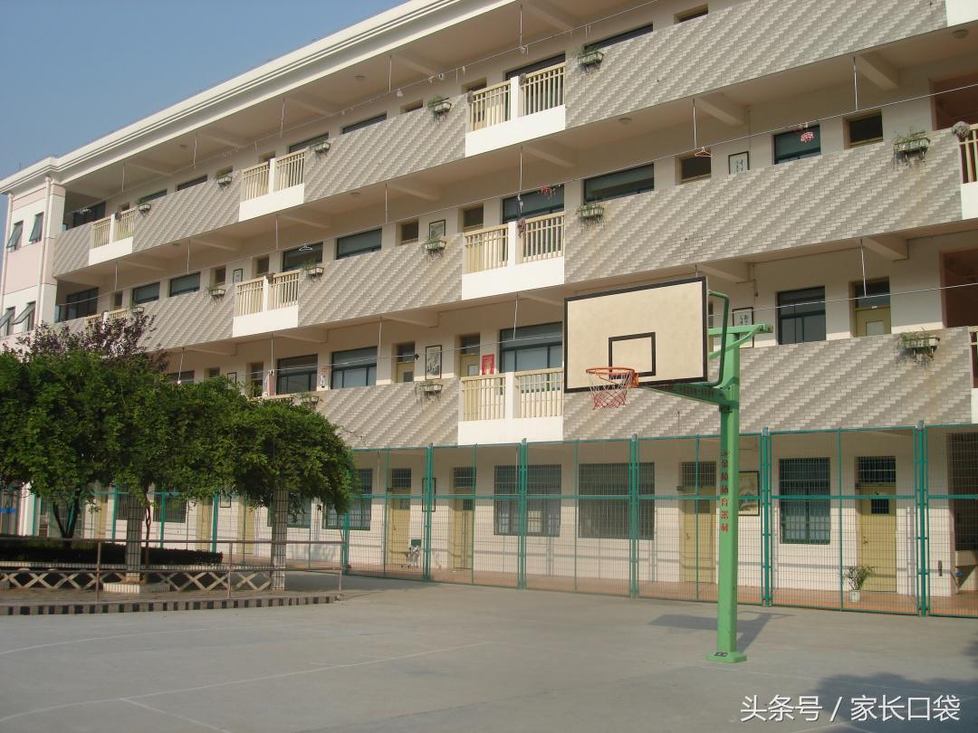 2023高考科技特长加分一览表,高考科创加分