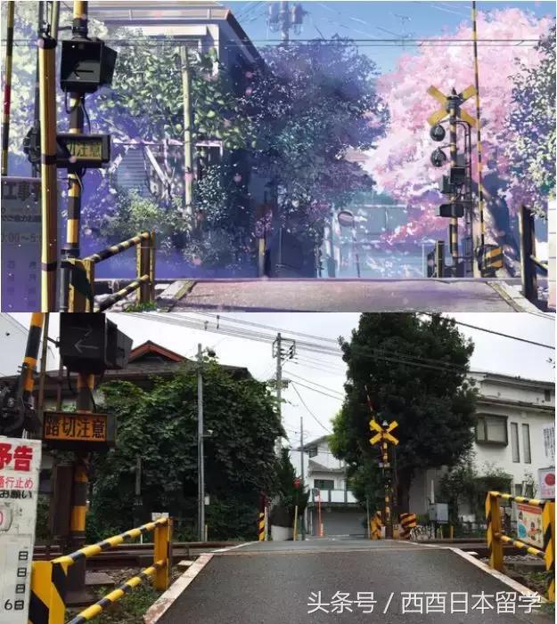 小偷家族日本大原海水浴场取景,小偷家族特写镜头