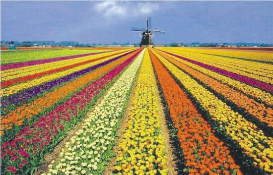 休闲农庄案例分析,特色农庄风景图