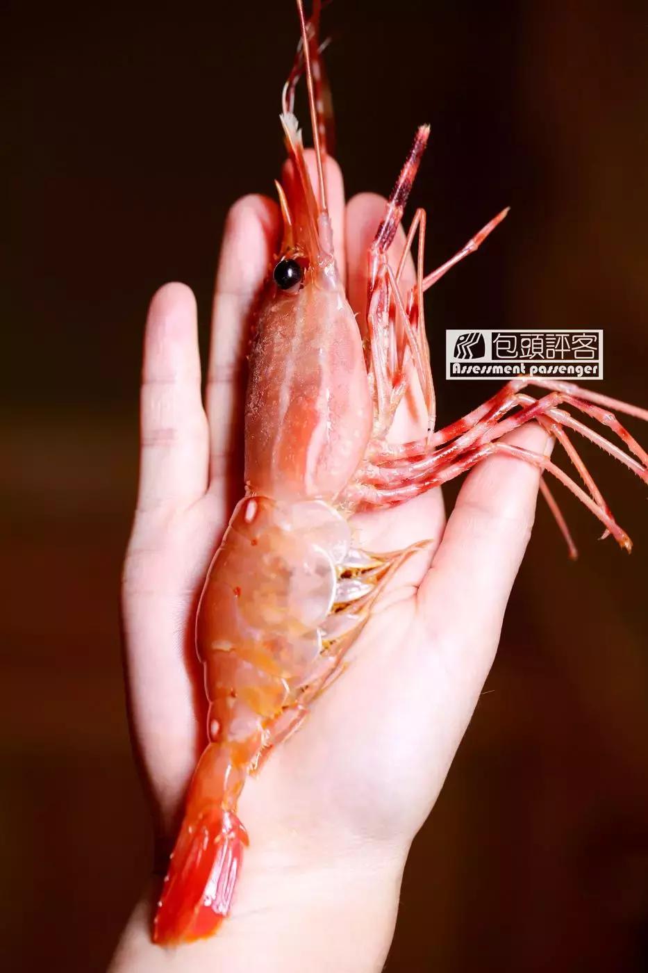 包头必吃夜宵好去处,包头自助日料店推荐