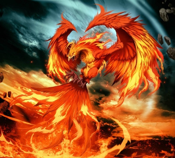 现代人对于凤凰究竟存在多少误解？凤凰和其他神鸟究竟有何区别？