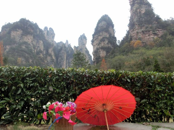 张家界国家森林公园天门山两日游,张家界天门山自由行攻略一日游