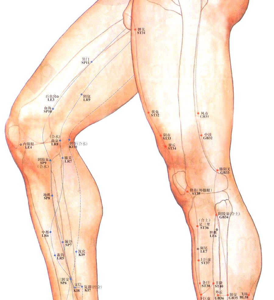 人体针灸穴位图解大全高清,人体针灸穴位图及功能详解