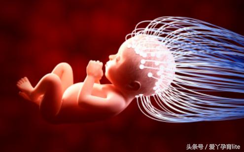 怀孕十月宝宝发育图表,十月怀胎宝宝生长过程视频