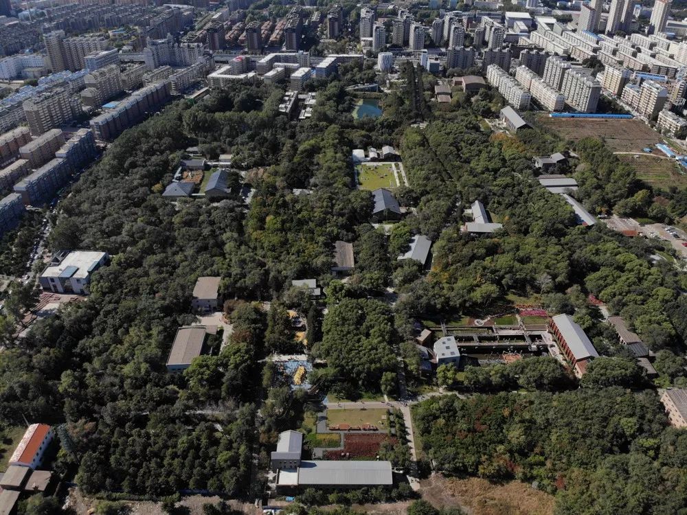 长春这座城市怎么样,长春这是怎么了