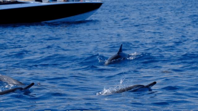 你喜欢什么样的海水,你喜欢什么样的海