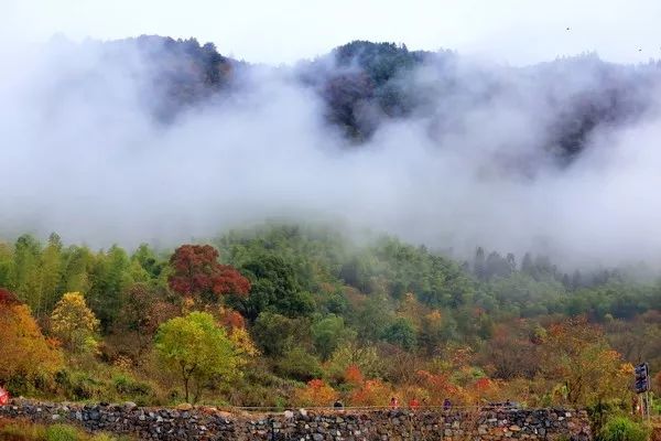 秋天的安徽,这才是安徽秋天该有的样子