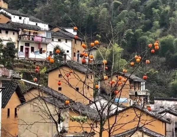 秋天的安徽,这才是安徽秋天该有的样子