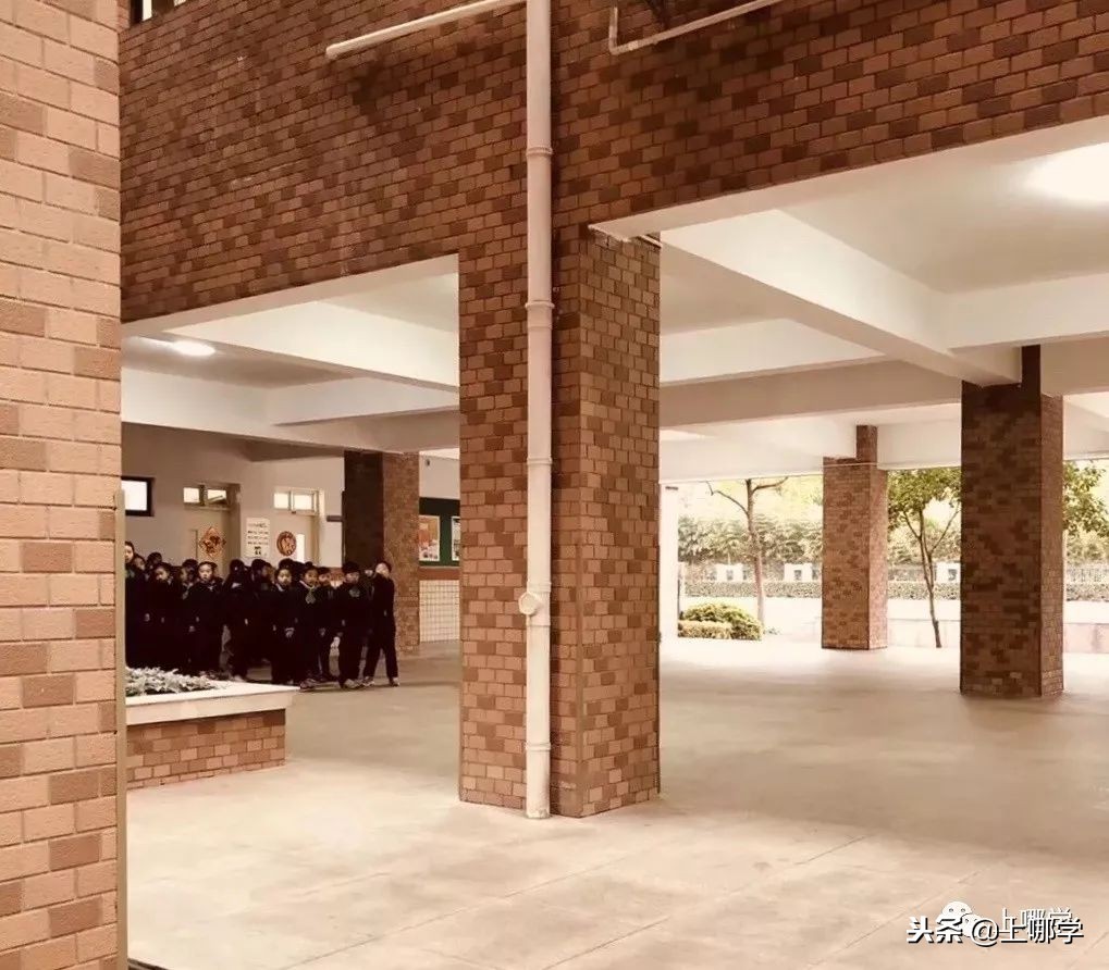 沪10大“美哭了”的公办小学,环境设施赶超民办!第一所就膜拜!