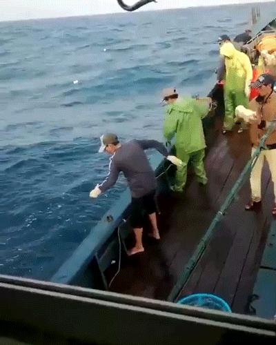 南澳岛寄来一个海鲜大箱,然后朋友圈的人纷纷把她屏蔽了