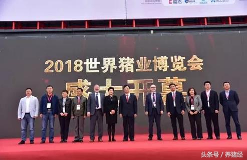 2024李曼养猪大会主要内容,李曼养猪大会和畜博会有什么区别