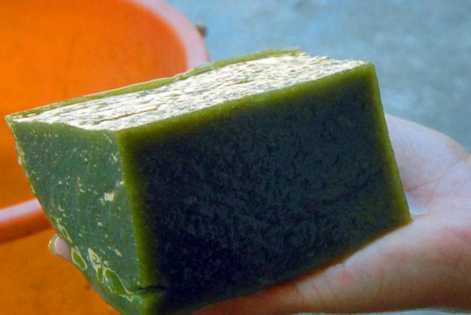 广西有神仙豆腐树吗,神仙豆腐是什么树学名怎么叫