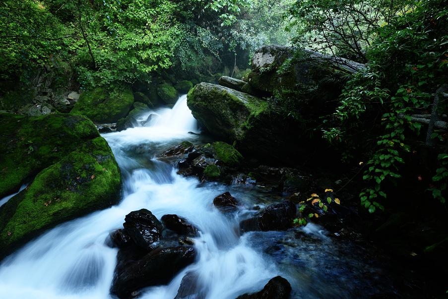 去神农架景区,神农架一日游景点攻略