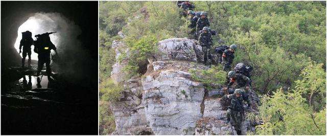 特警和警察有什么不同,特警和派出所干警有什么不同