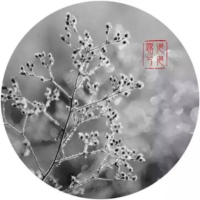 诗经中的国学经典语录,诗经中最唯美的句子加解析和感悟