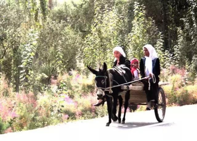 网购新疆为什么不包邮,为什么在网上买东西新疆不包邮