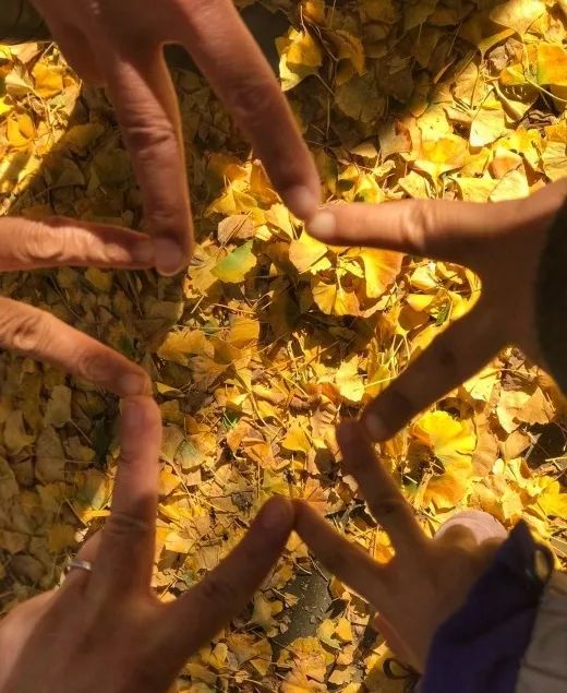 去一些风景美的地方,又到了欣赏银杏的季节治愈系风景