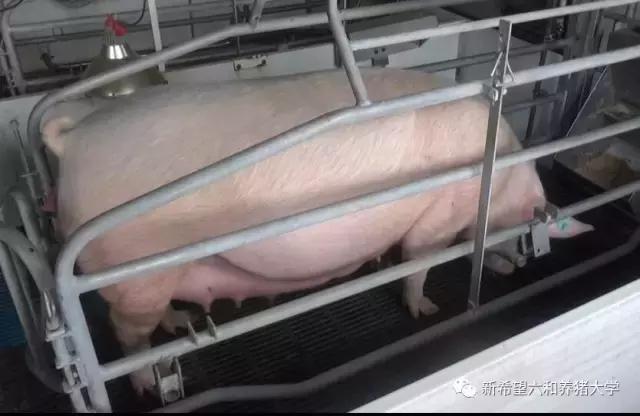 子宫炎症真不少，这些方面你是否做到？