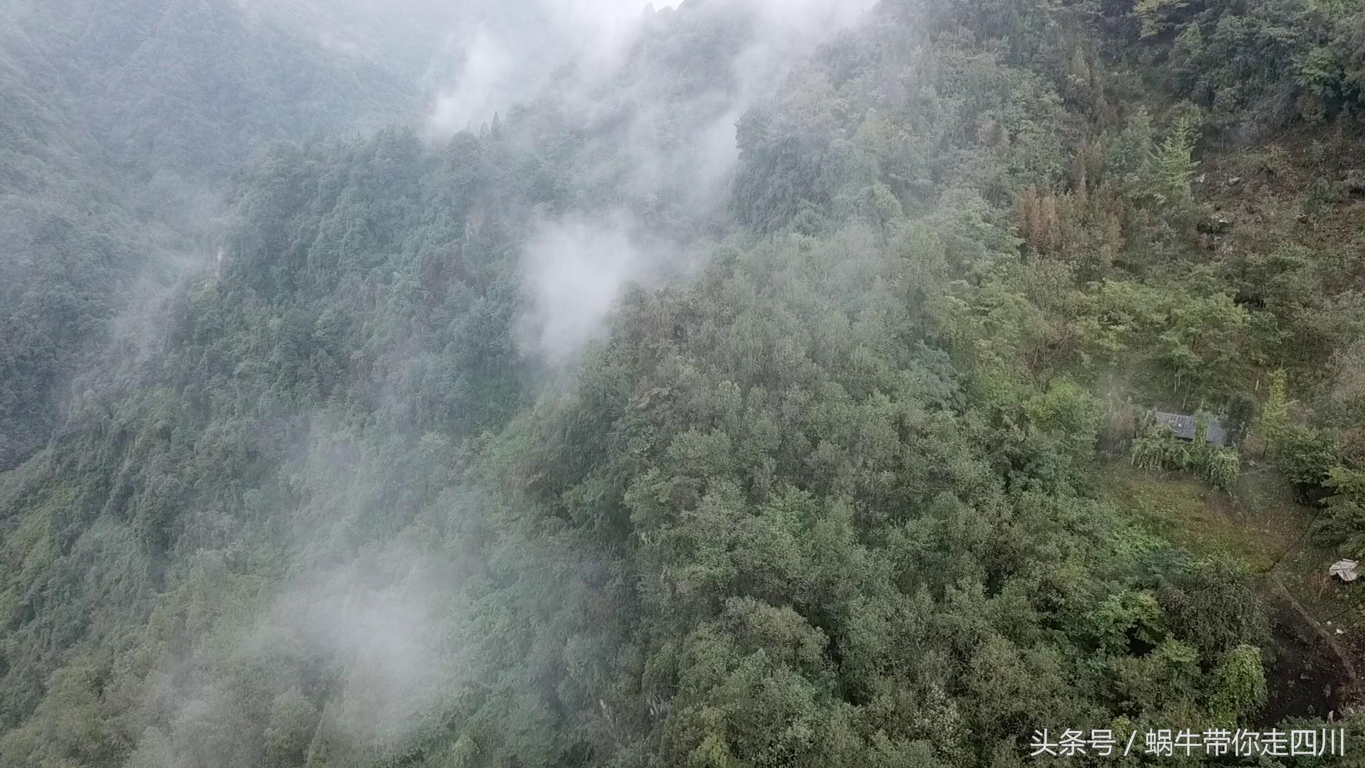 成都西岭雪山玩一天大概多少钱,成都西岭雪山旅游一日游报团