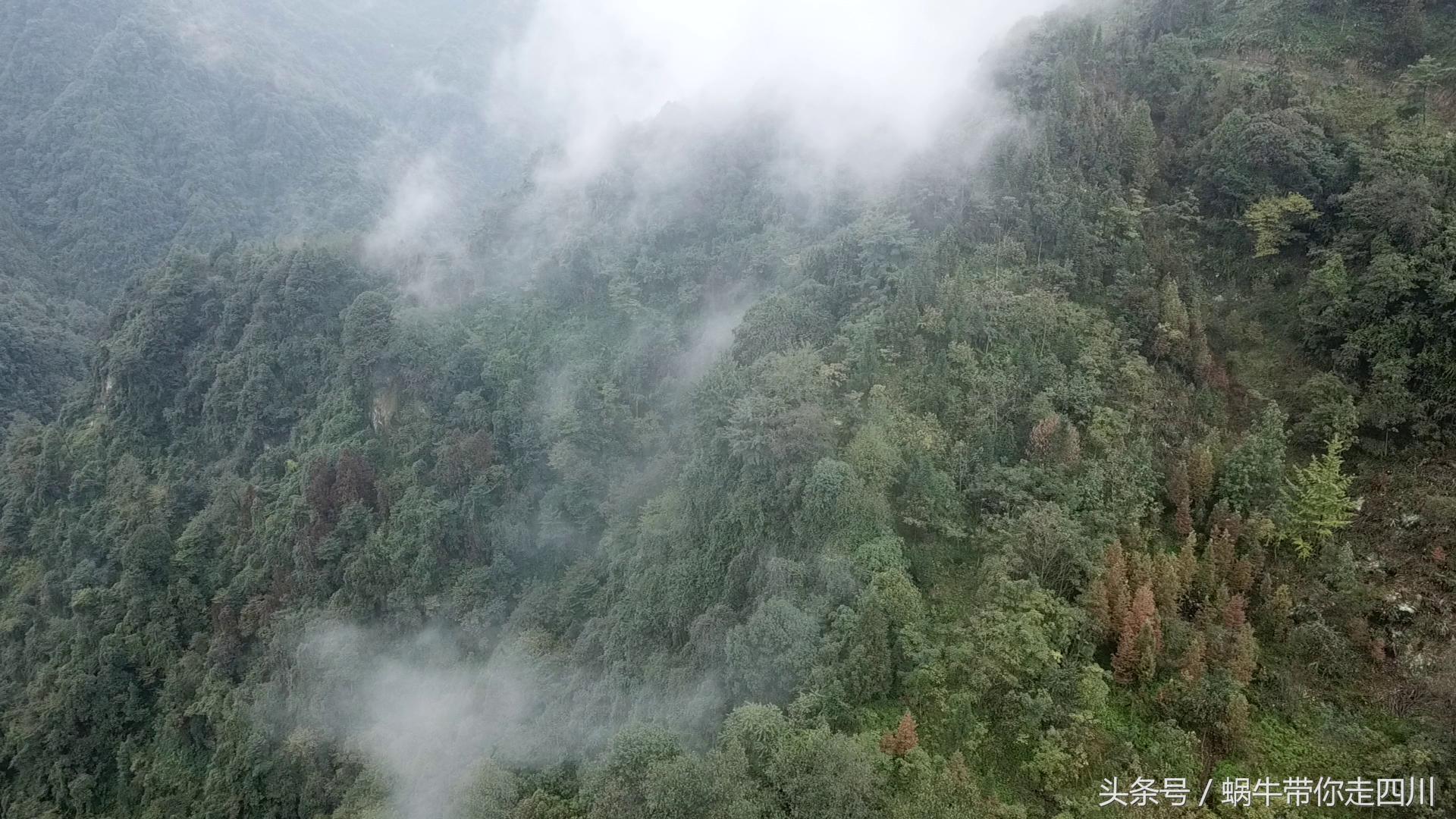 成都西岭雪山玩一天大概多少钱,成都西岭雪山旅游一日游报团