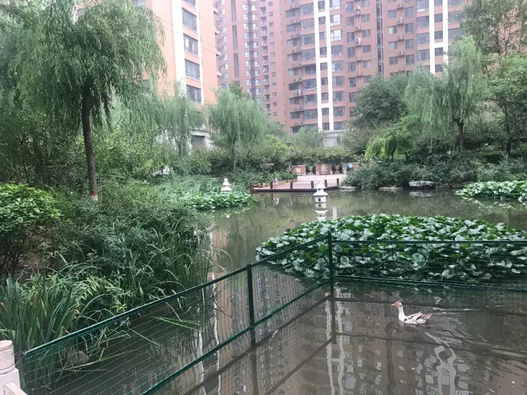 石家庄最好的小区房价,石家庄房价最贵10大成熟小区