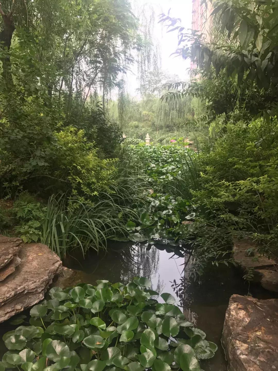 石家庄最好的小区房价,石家庄房价最贵10大成熟小区