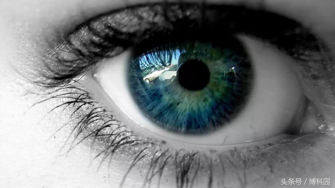 失明40年重见光明基因疗法创奇迹,全国基因治疗眼睛最新突破