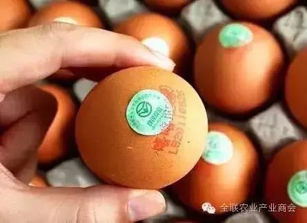 辽宁特产礼物排行榜,辽宁特色礼品规格