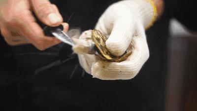 周末畅刷法国生蚝！招牌西班牙海鲜饭、珍稀火腿天天有！