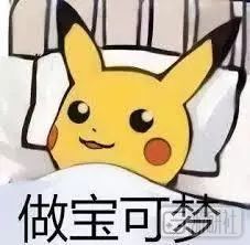 现实世界里有各种各样的宝可梦,真实世界的宝可梦长什么样