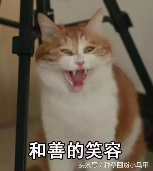 双十一黑榜,双11黑名单曝光