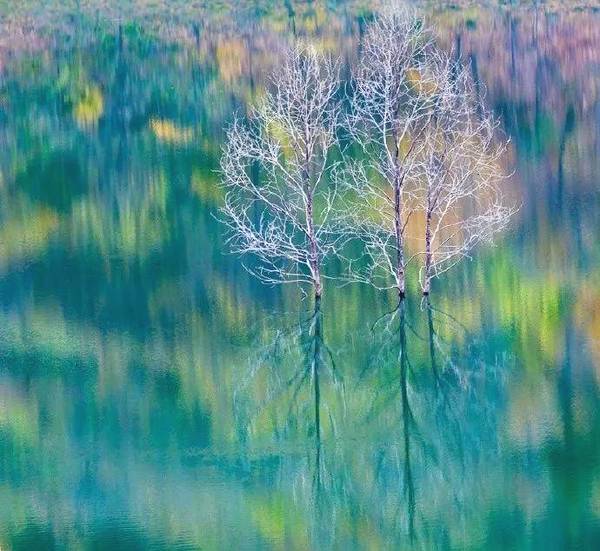 清代诗最好的古诗,清诗三百首经典欣赏