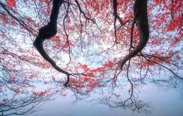 清代诗最好的古诗,清诗三百首经典欣赏