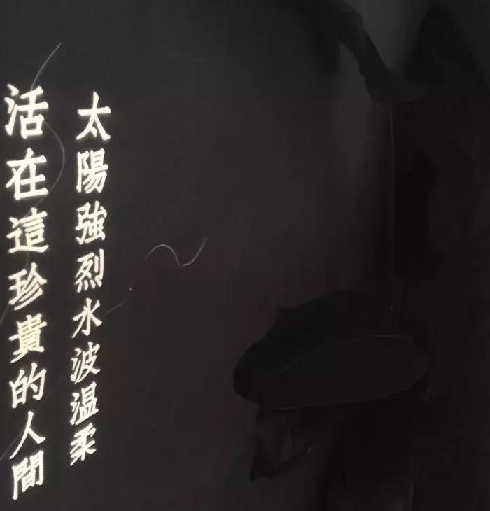 善解人意换的往往是得寸进尺,善解人意换来的总是得寸进尺吧