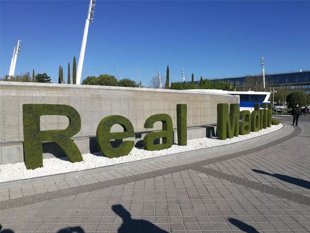 fifa福利欧冠,fifa足球世界杯福利