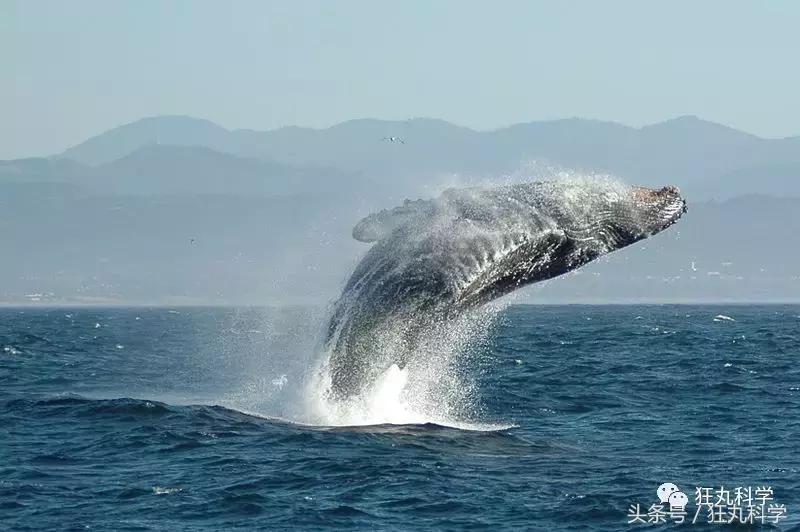 水银不是银是什么,水银不是银是水银