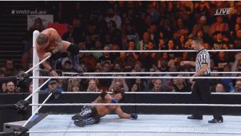 wwe最弱必杀技第一名,wwe踢中要害