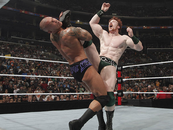 wwe最弱必杀技第一名,wwe踢中要害